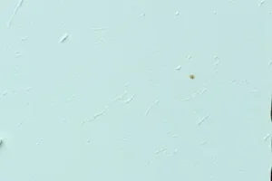 INSS Araguaína