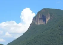 Simples e MEI: tributos prorrogados