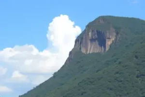 Simples e MEI: tributos prorrogados