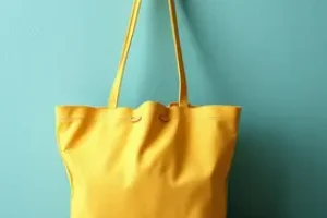 Bolsa Família