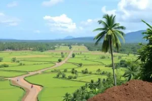 concurso Dores do Indaiá