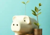 ideias para investir suas poupanças
