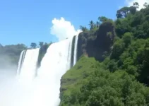 Detran Foz do Iguaçu