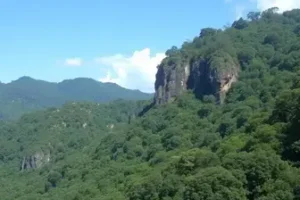 Detran Itapecerica da Serra