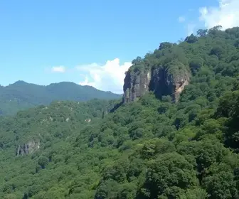 Detran Itapecerica da Serra